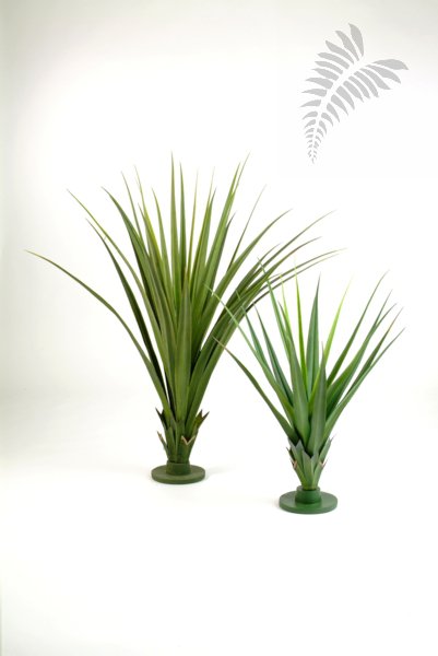 PANDANUS PLANT MEDIUM 1529N